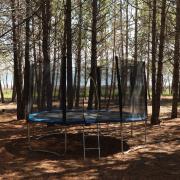 Կենարար Սոճի 