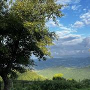 Շենլիկ հյուրատուն