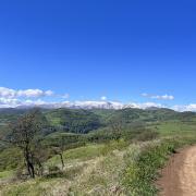 Շենլիկ հյուրատուն