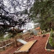 Սոճի ռեզորտ