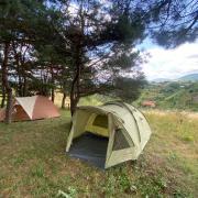 Սոճի ռեզորտ