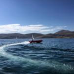 Հայկական Ճամբար