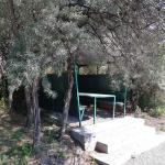 Գոռի լողափ